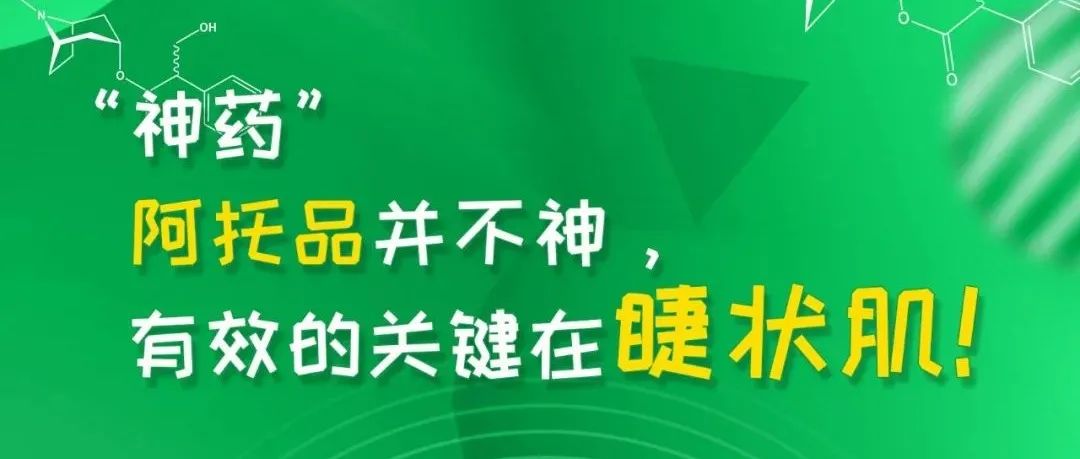预防近视，从保护“睫状肌”开始
